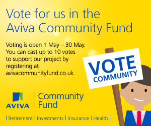 37417-Vote-Community-300x250px